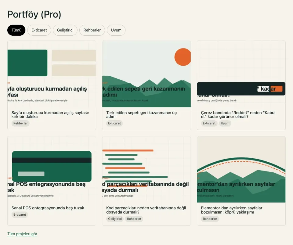 A portfolio grid of six article cards with images and category tags, above them a row of filter buttons, and below a link reading “see all projects”