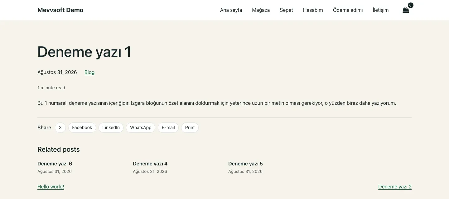 Demo kurulumunda bir blog yazısı: okuma süresi, paylaşım ve yazdırma satırı ve üç ilgili yazı