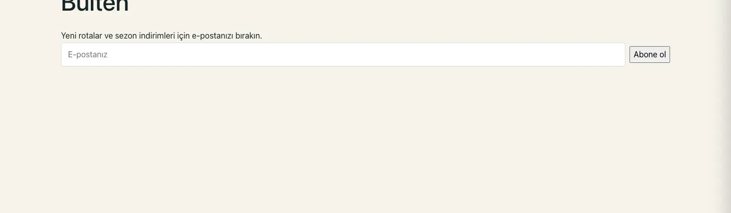 Uma página de newsletter com um campo de e-mail e um botão de inscrever