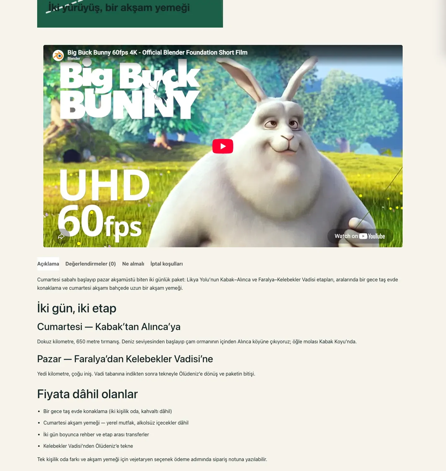 Uma página de produto com um player do YouTube incorporado logo abaixo da galeria do produto